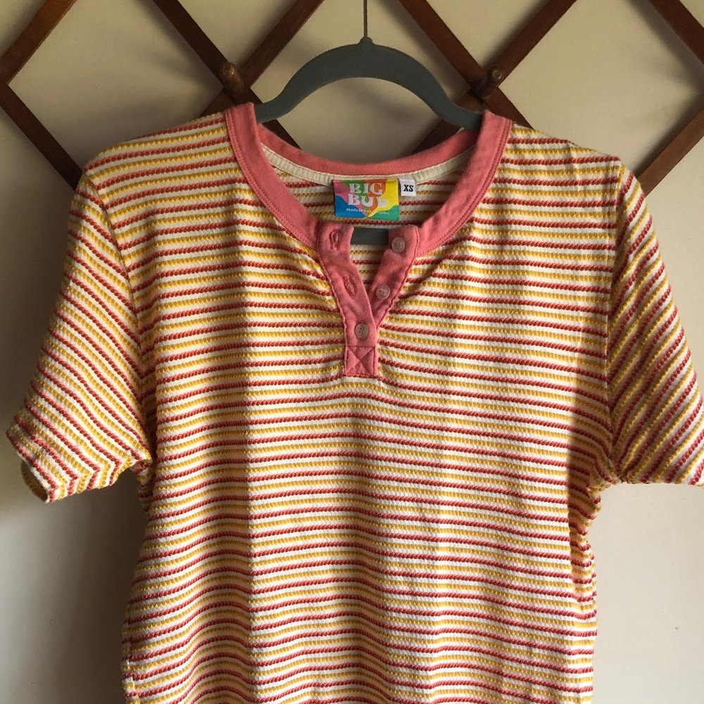 Big Bud Press Honeycomb Henley